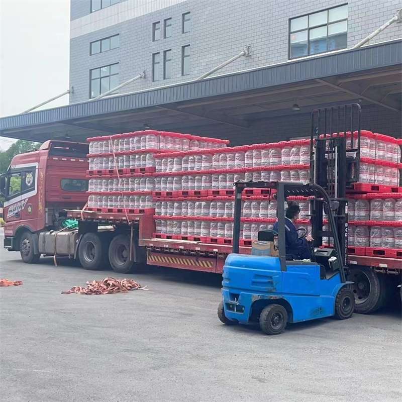 河西区延平区物流：多元运输服务的魅力探索