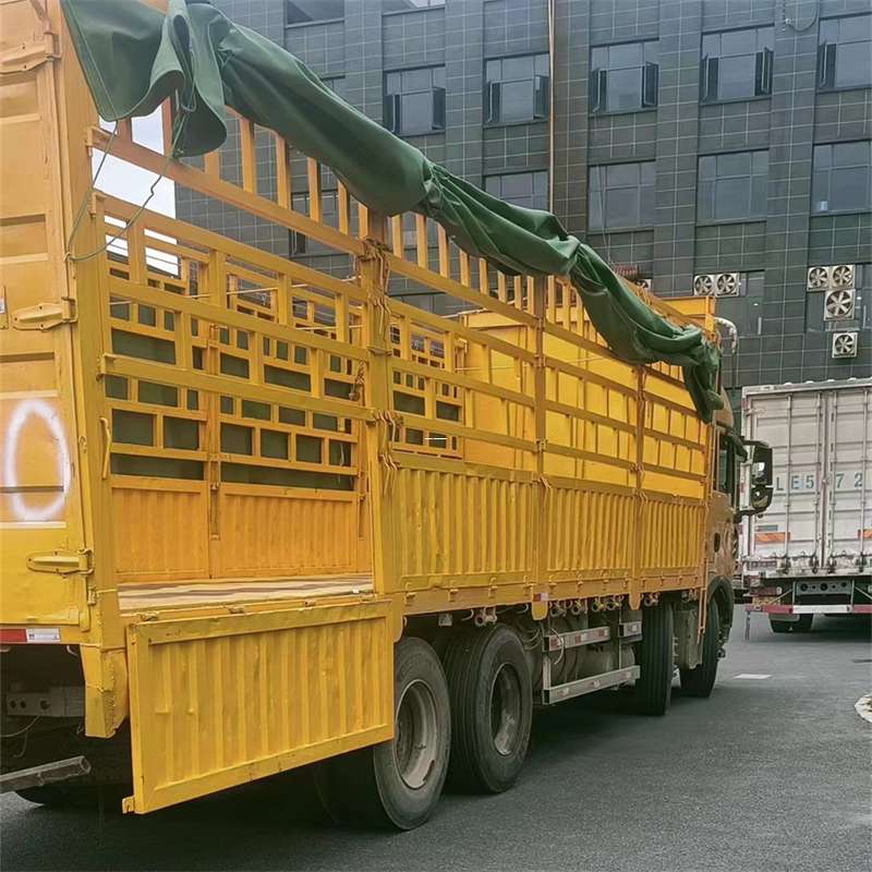 河西区灵璧县物流运输：多元服务与高效线路探秘