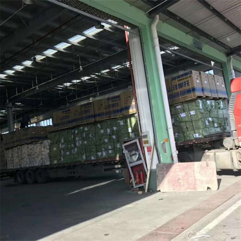 河西区探索多元化物流服务与运输线路奥秘