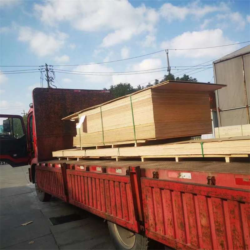 河西区桥西区物流专线的多元运输世界