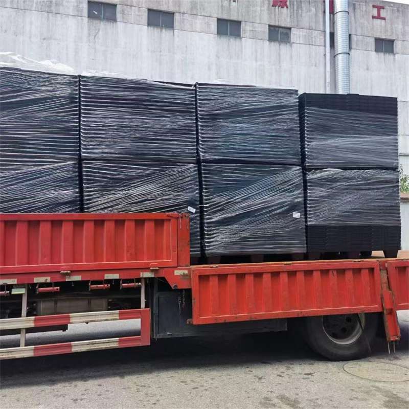 河西区探索多元物流世界：专线直达与特色货运服务